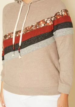 Plus Size Multi Striped Hooded Sweater -Asoph Sales Shop 2019182 138 4