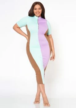Plus Size Color Block Zip Front Bodycon Dress