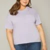 Plus Size Distressed Crew Neck Tee Shirt