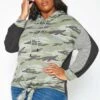Plus Size Pattern Splice Hooded Sweater