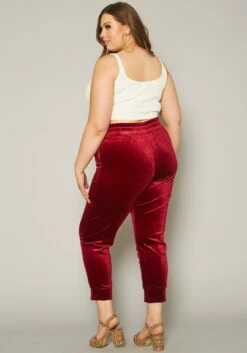 Plus Size Velour High Waist Pants -Asoph Sales Shop 2019633 283 3