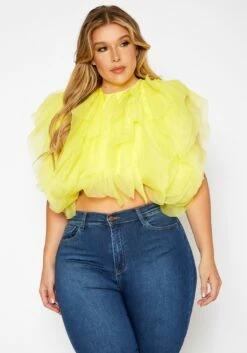 Plus Size Ruffle Tulle Crop Top