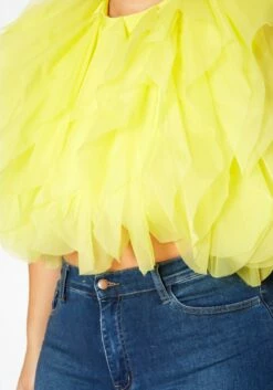 Plus Size Ruffle Tulle Crop Top -Asoph Sales Shop 2020213 003 5