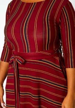 Plus Size Multi Striped Fit & Flare Maxi Dress -Asoph Sales Shop 2021372 002 5